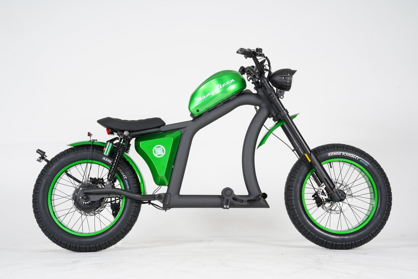 FT02 – Vélo Électrique Polyvalent