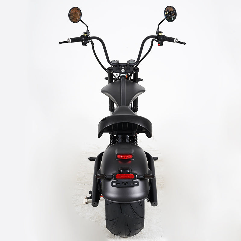 M1P – L'efficacité électrique à prix maîtrisé - 45km/h