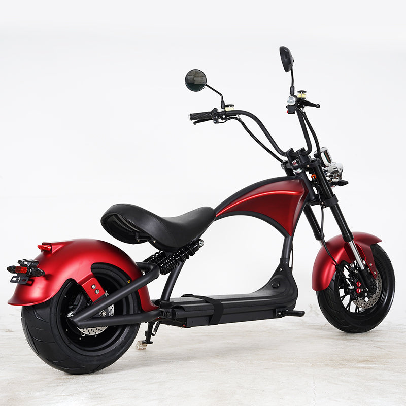 M1P – L'efficacité électrique à prix maîtrisé - 45km/h