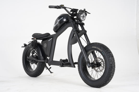 FT02 – Vélo Électrique Polyvalent