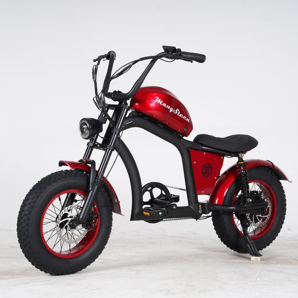 FT02 Mini – Le vélo urbain, compact et malin