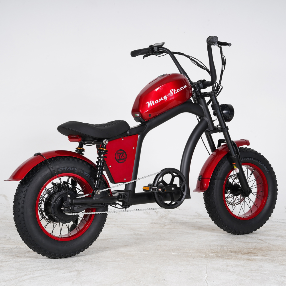 FT02 Mini – Le vélo urbain, compact et malin