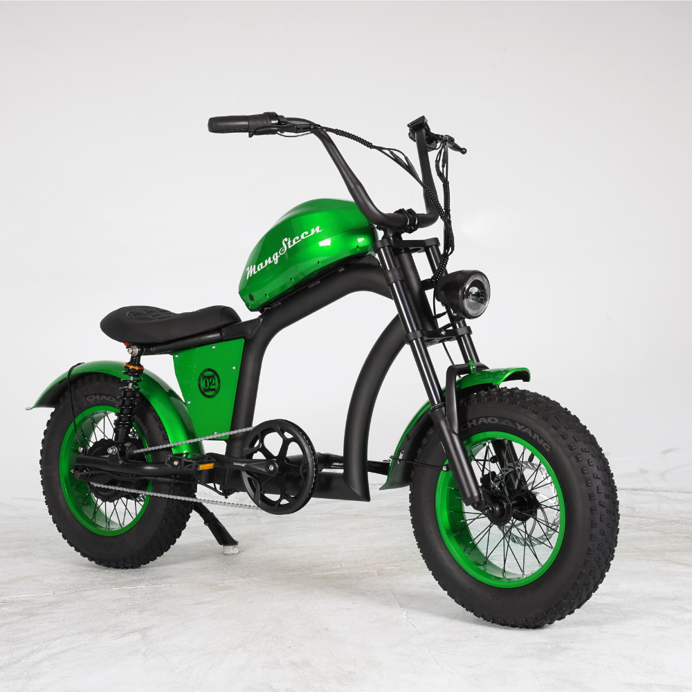 FT02 Mini – Le vélo urbain, compact et malin