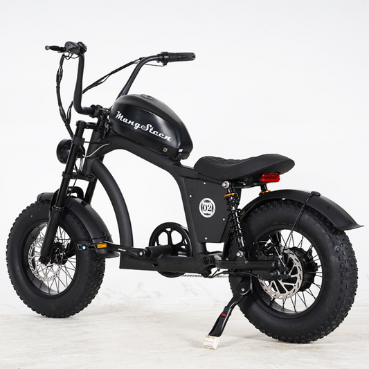 FT02 Mini – Le vélo urbain, compact et malin