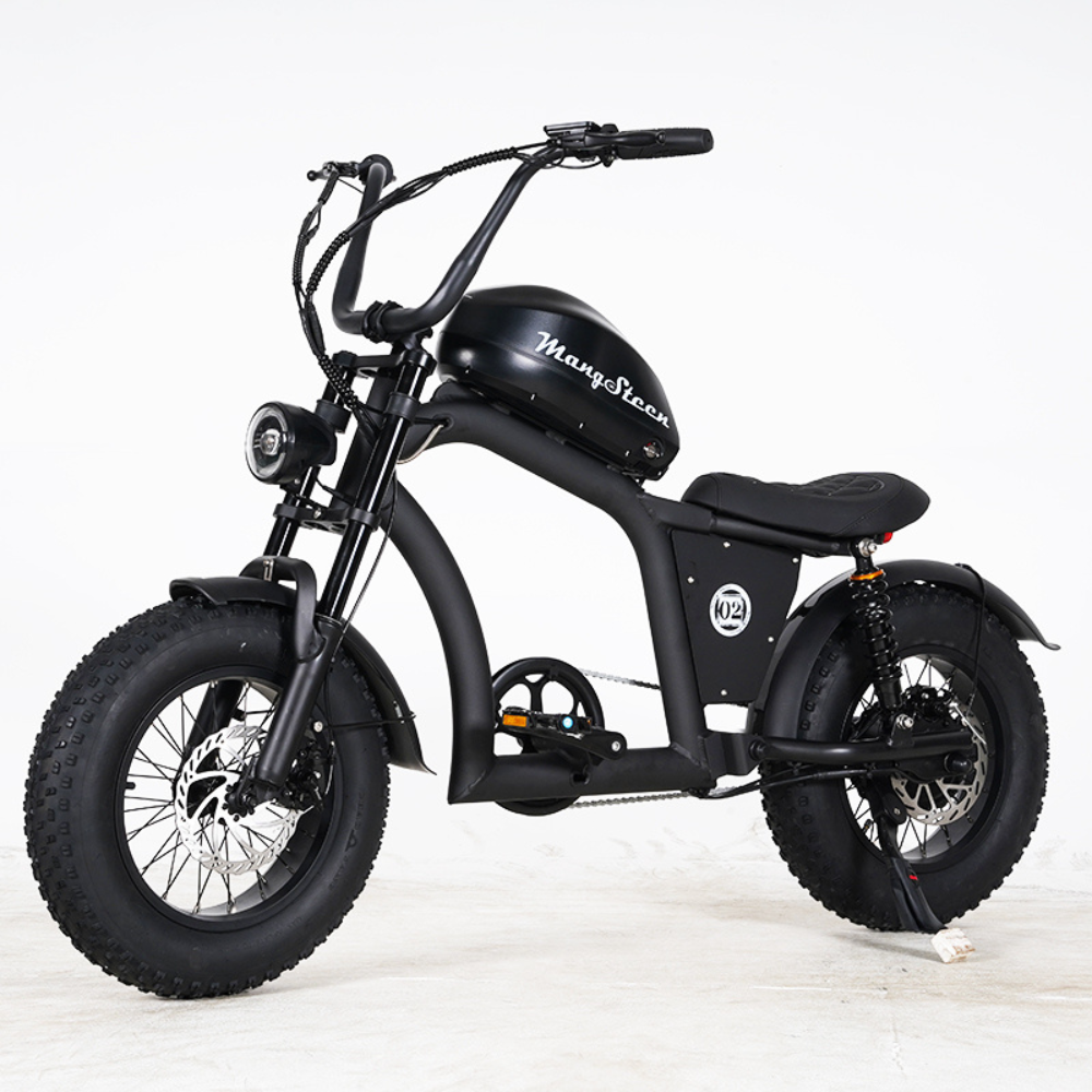 FT02 Mini – Le vélo urbain, compact et malin