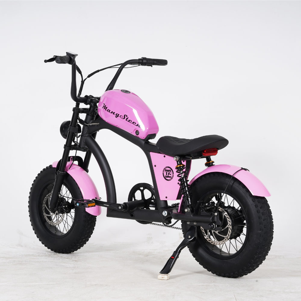 FT02 Mini – Le vélo urbain, compact et malin