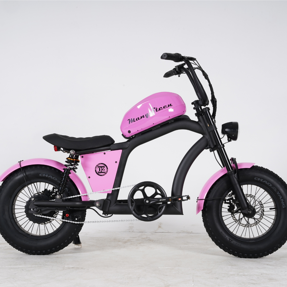 FT02 Mini – Le vélo urbain, compact et malin